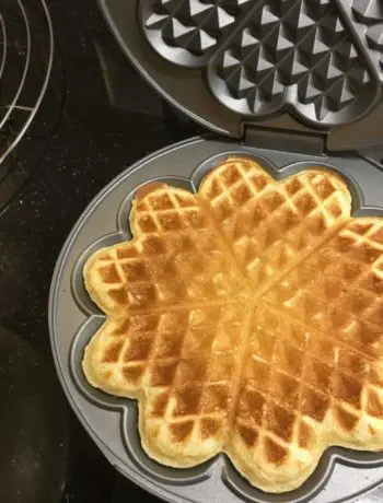 waffel 350x460